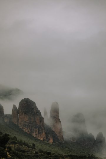 naturaleza con niebla